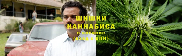 прущая мука Дмитриев