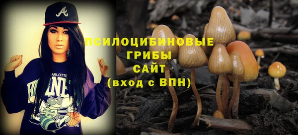 прущая мука Дмитров