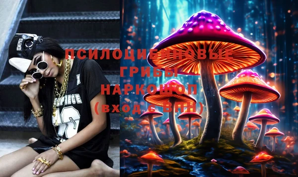 прущая мука Дмитров
